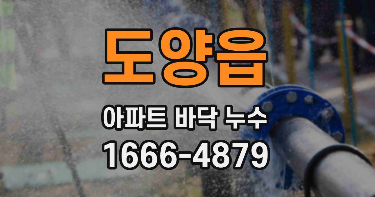 도양읍 아파트 바닥 누수