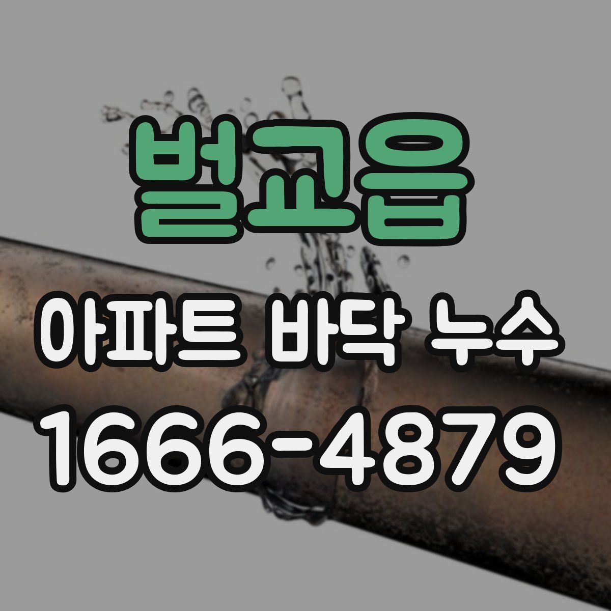 벌교읍 아파트 바닥 누수