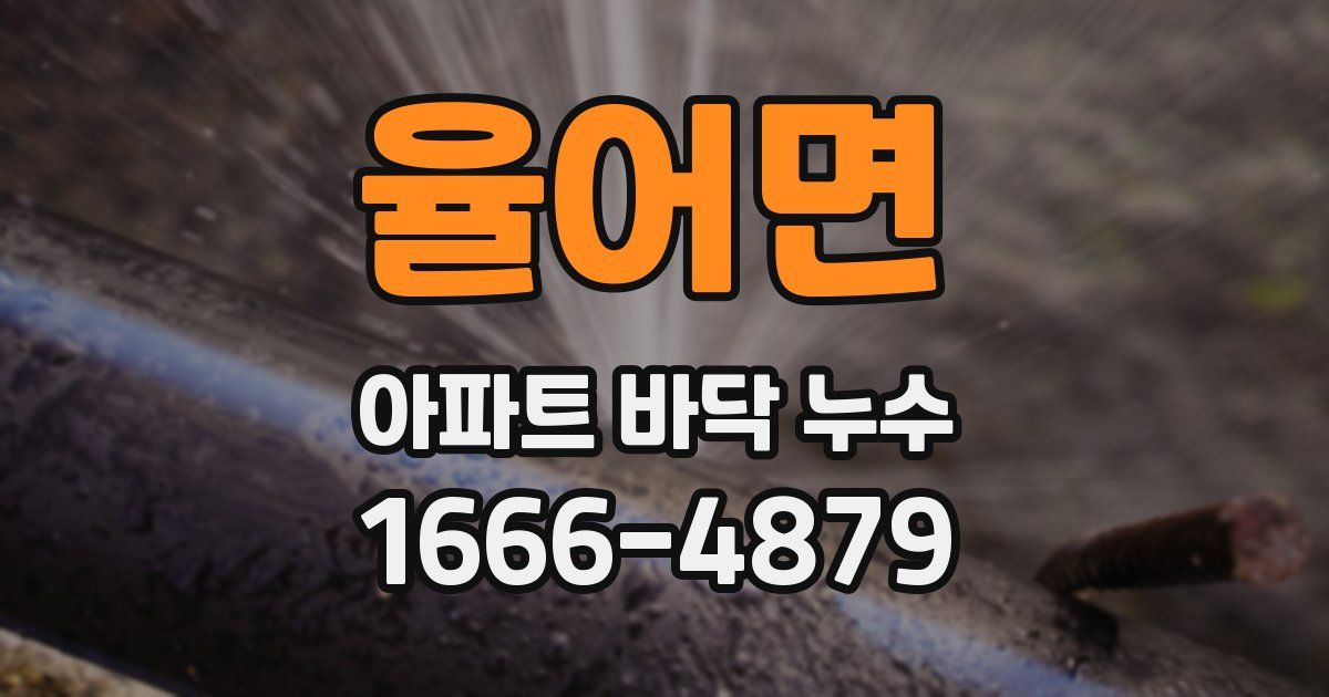 율어면 아파트 바닥 누수