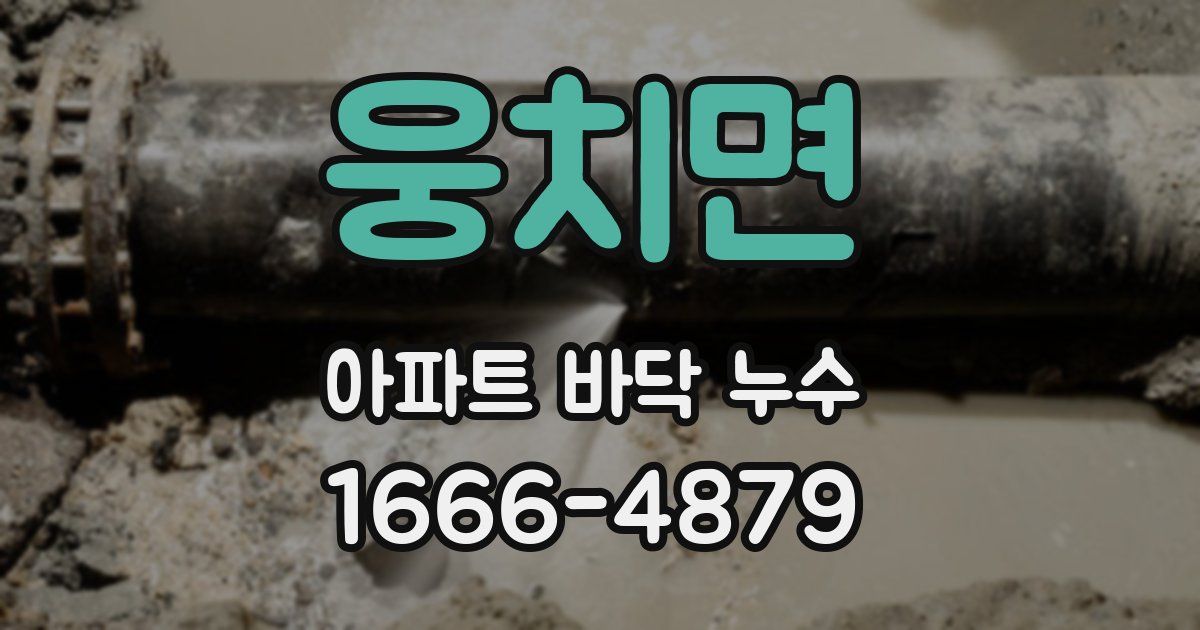 웅치면 아파트 바닥 누수