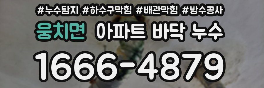 웅치면 아파트 바닥 누수