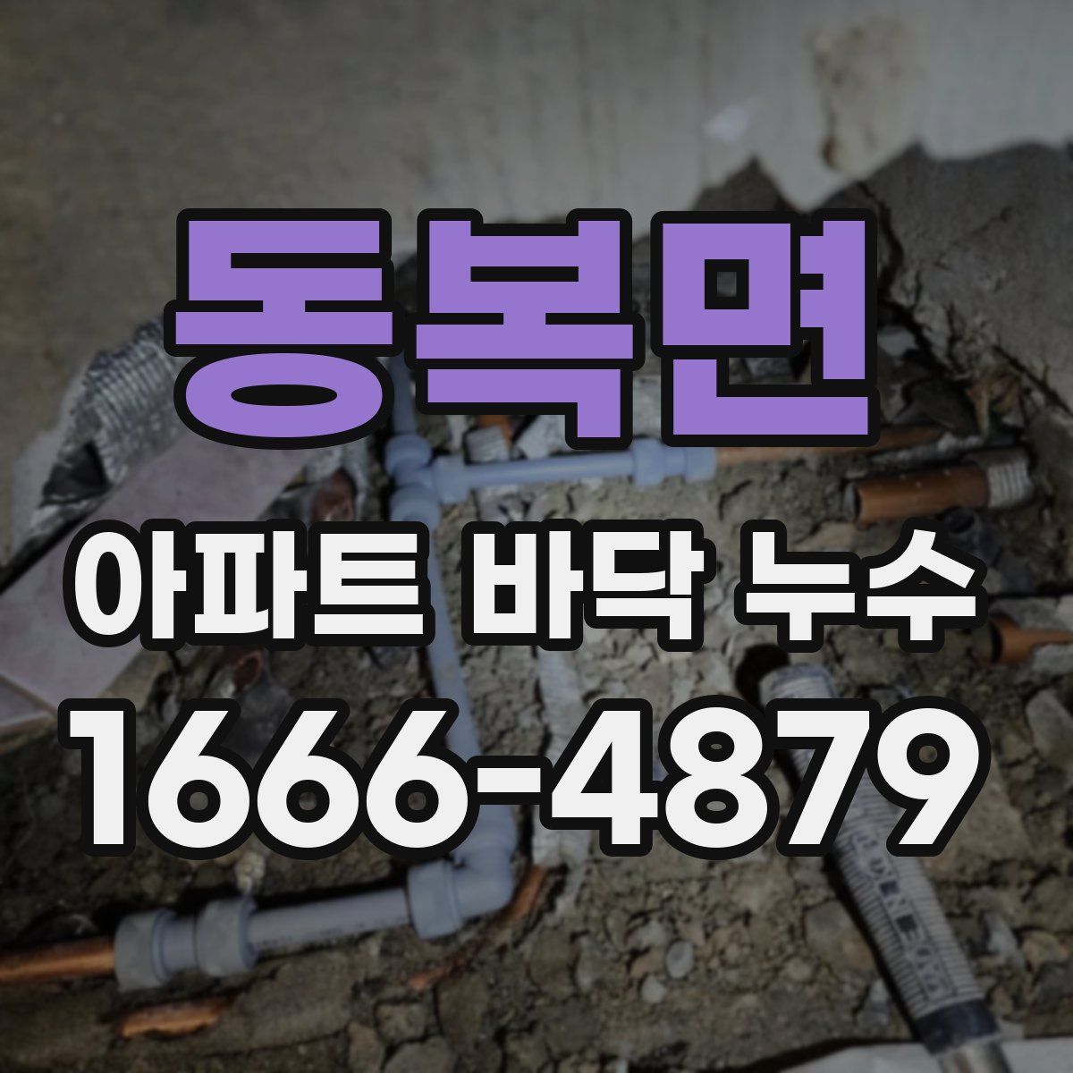 동복면 아파트 바닥 누수