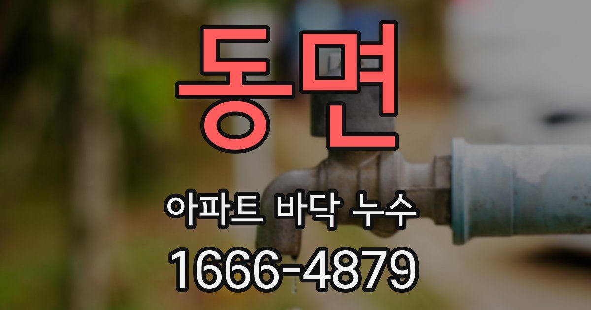 동면 아파트 바닥 누수