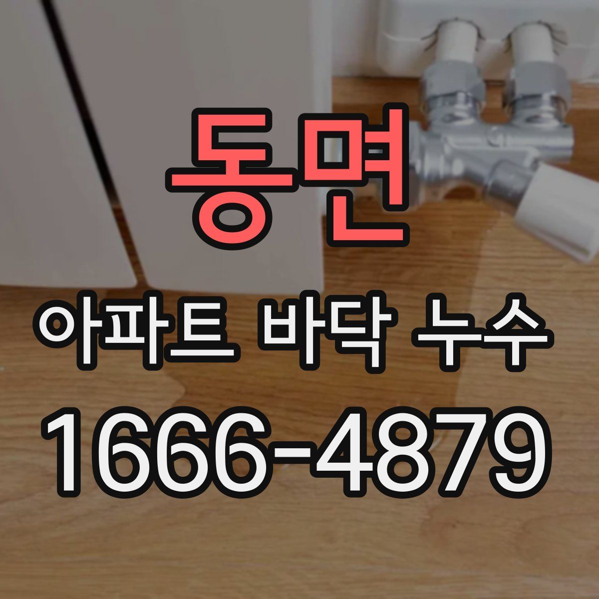 동면 아파트 바닥 누수