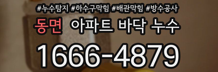 동면 아파트 바닥 누수