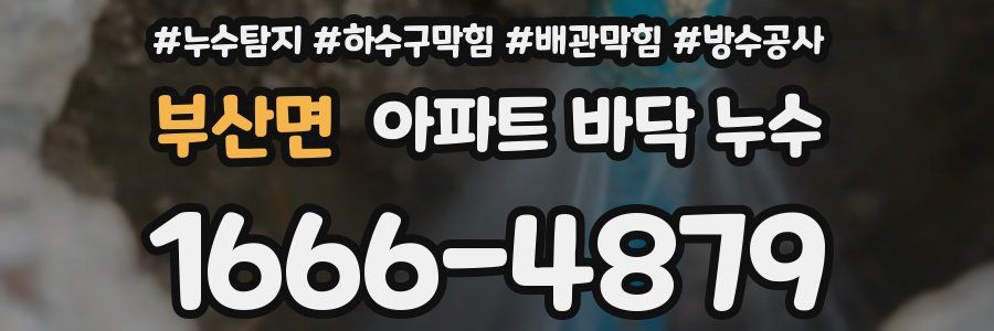 부산면 아파트 바닥 누수