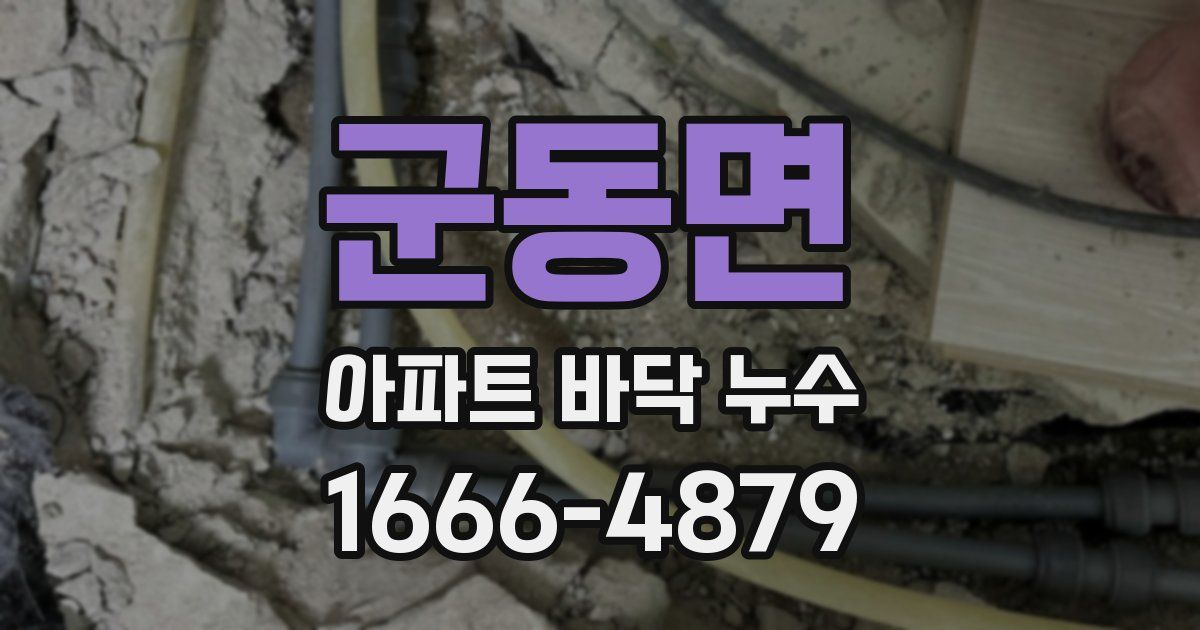 군동면 아파트 바닥 누수
