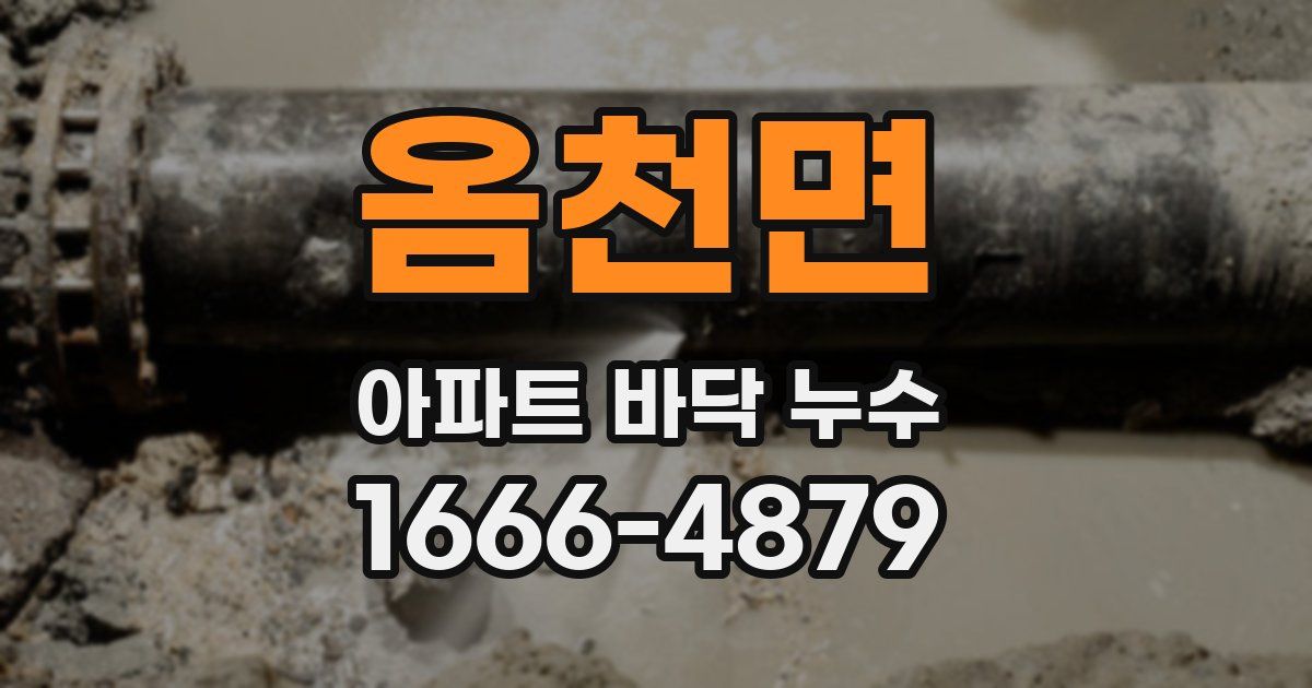 옴천면 아파트 바닥 누수