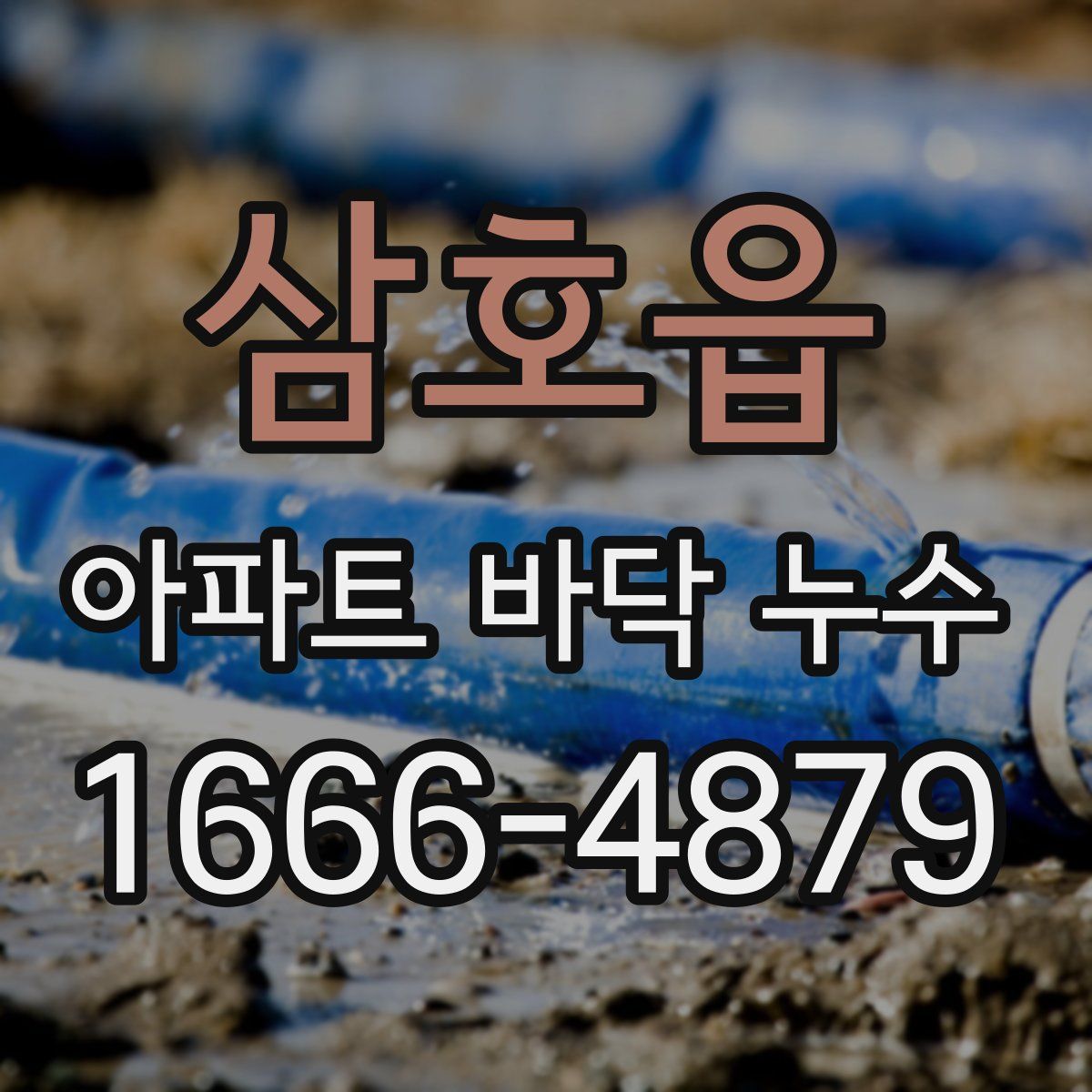삼호읍 아파트 바닥 누수