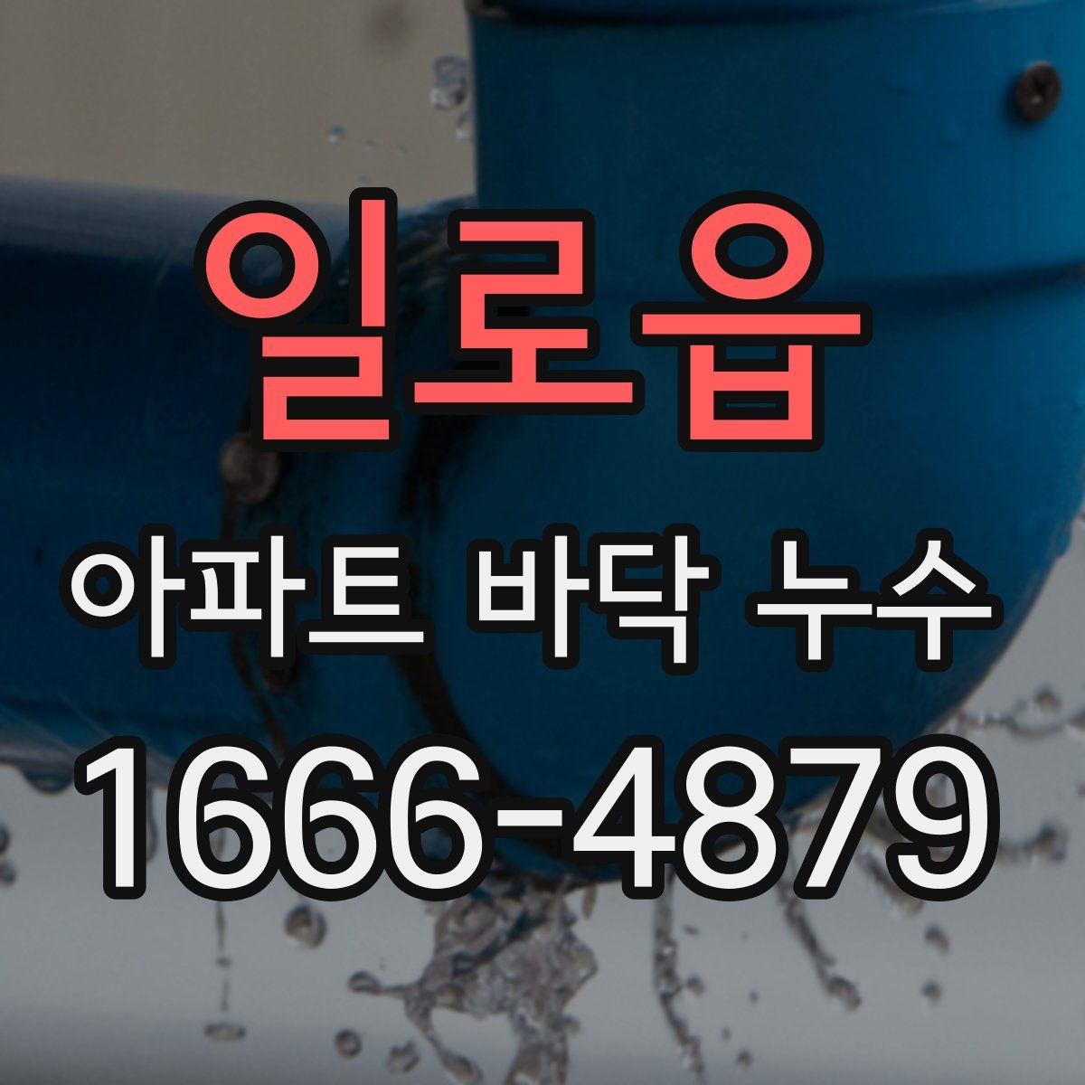 일로읍 아파트 바닥 누수