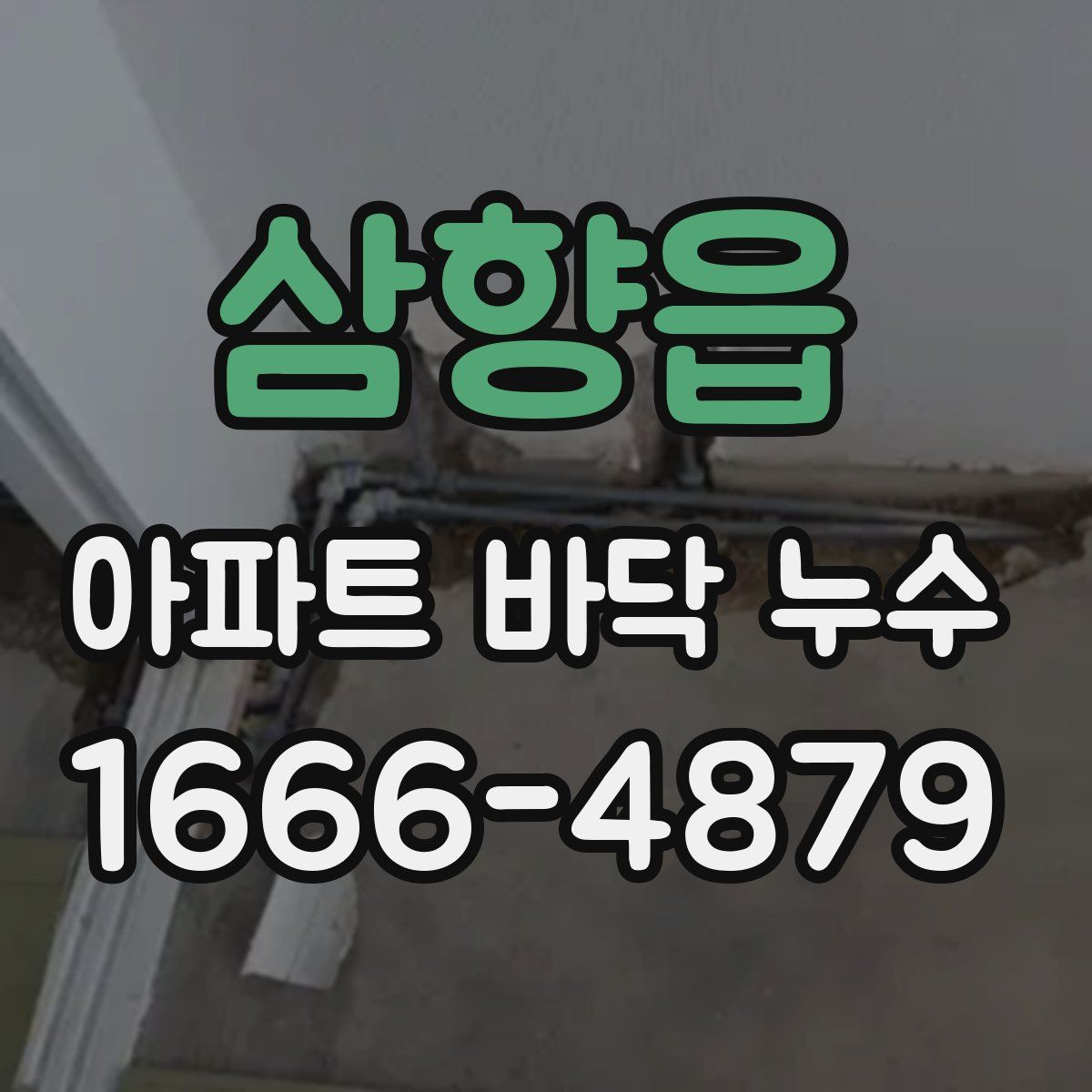 삼향읍 아파트 바닥 누수