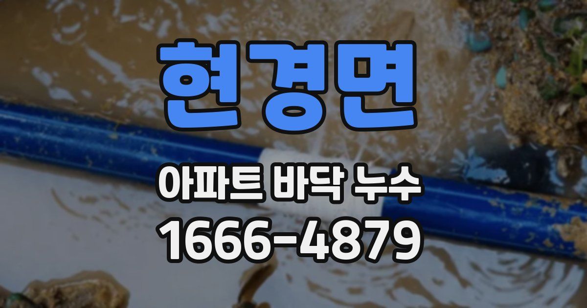 현경면 아파트 바닥 누수