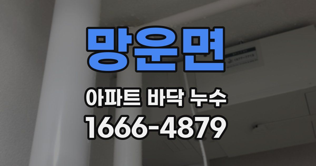 망운면 아파트 바닥 누수