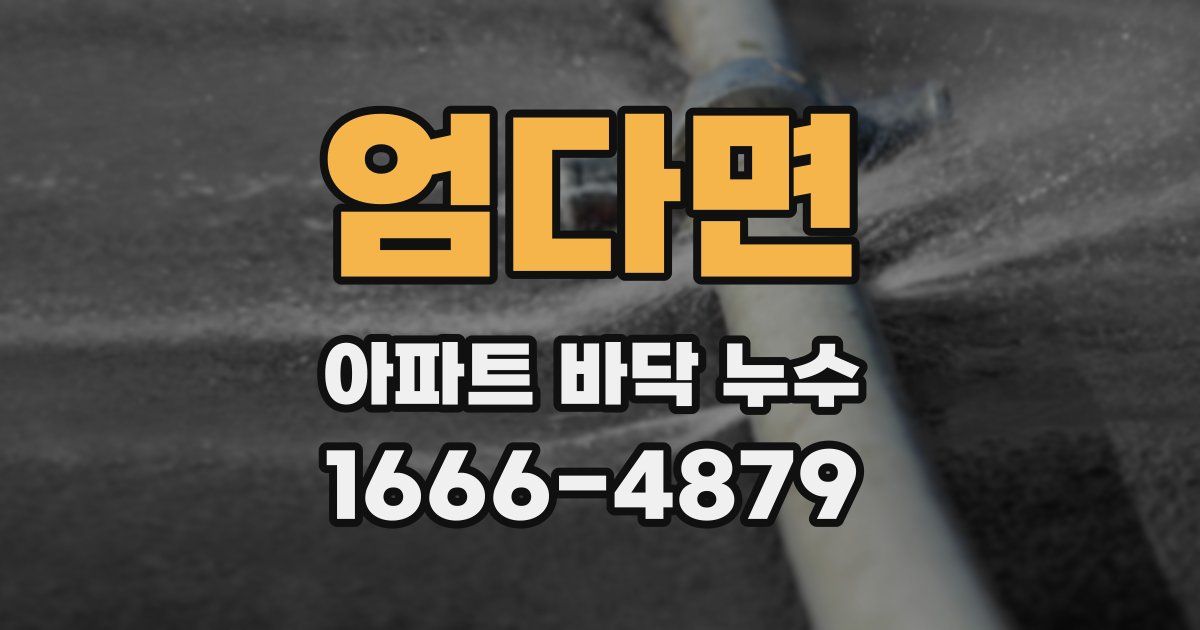 엄다면 아파트 바닥 누수