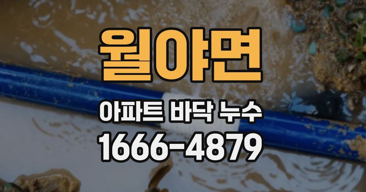 월야면 아파트 바닥 누수