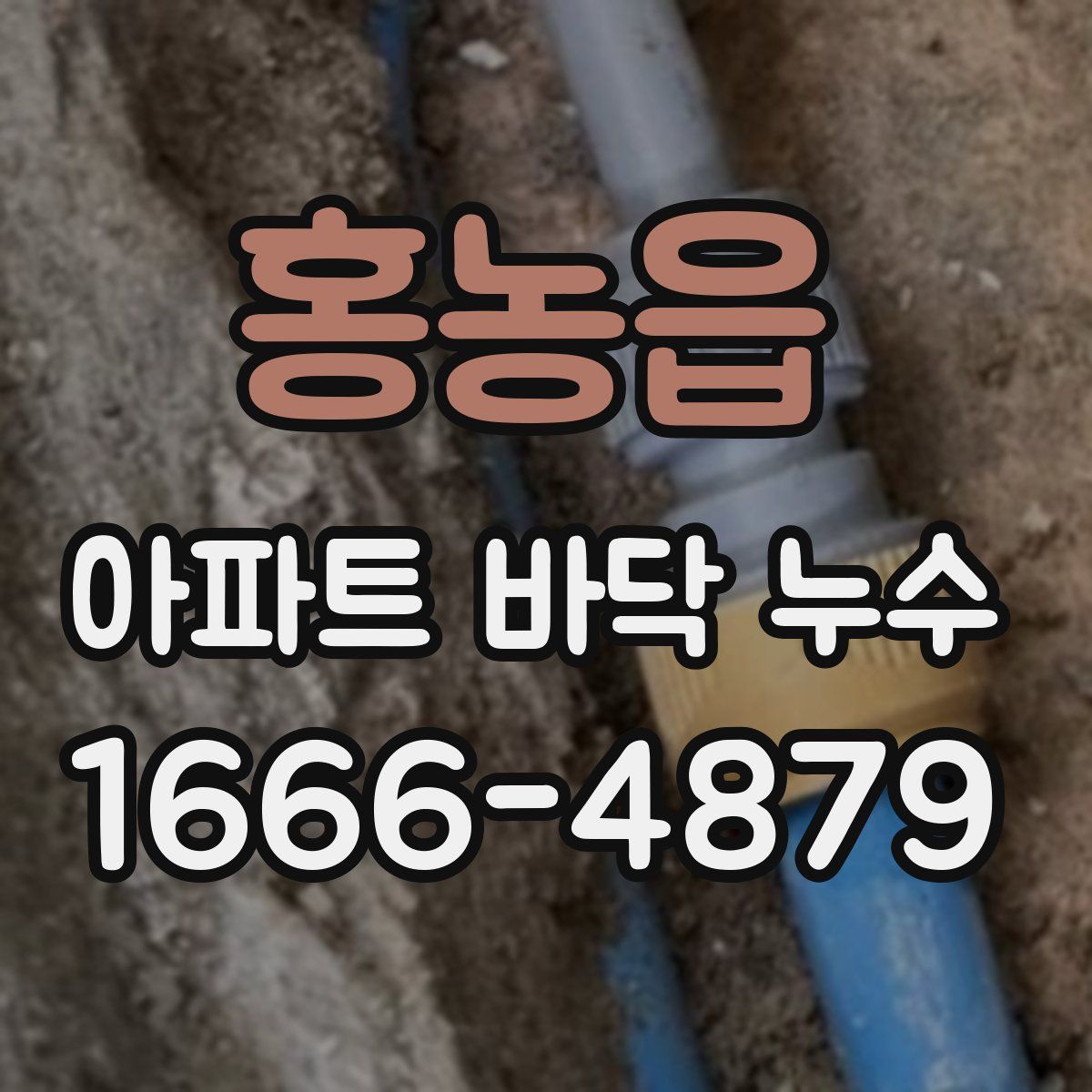 홍농읍 아파트 바닥 누수