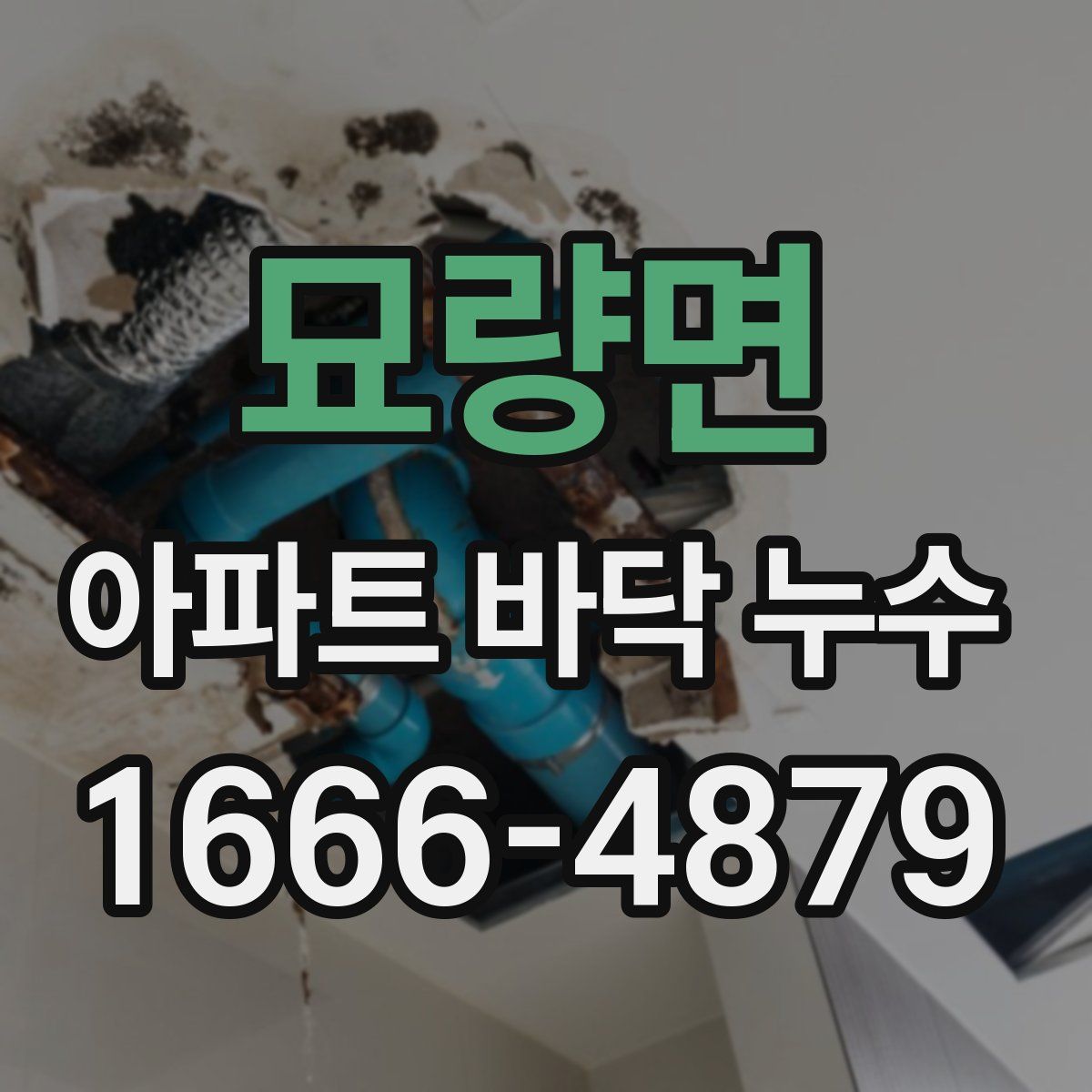 묘량면 아파트 바닥 누수