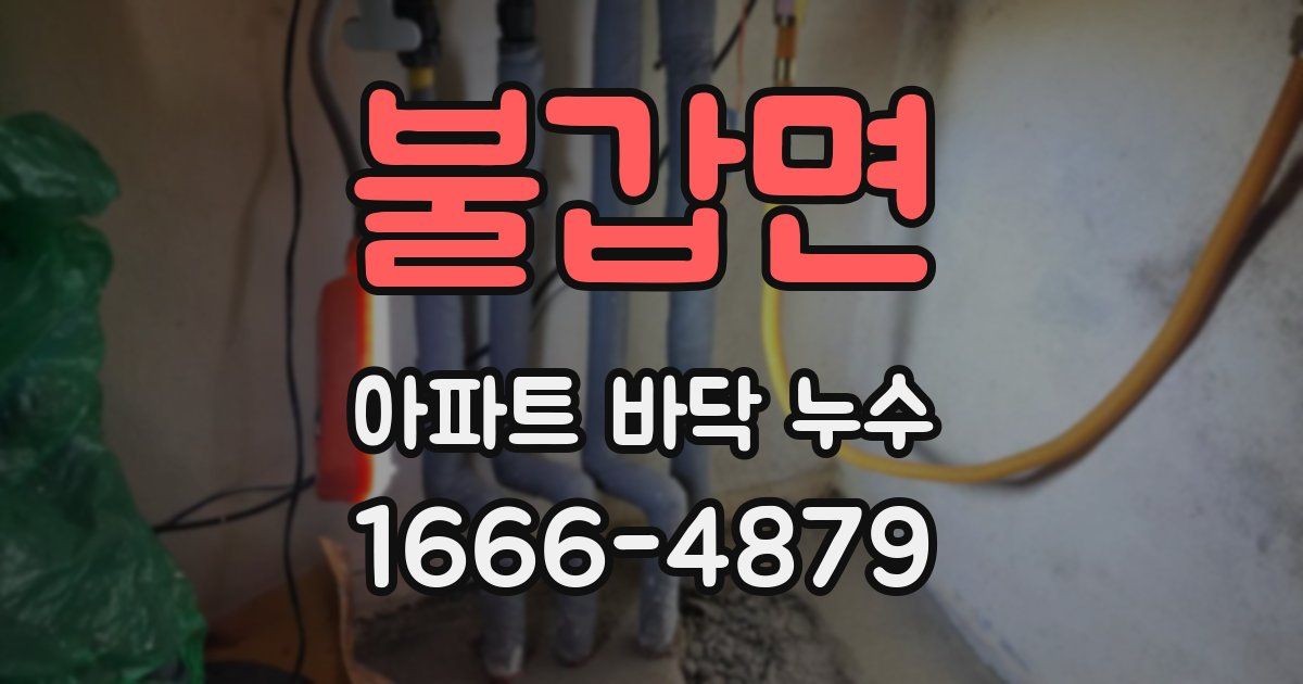 불갑면 아파트 바닥 누수