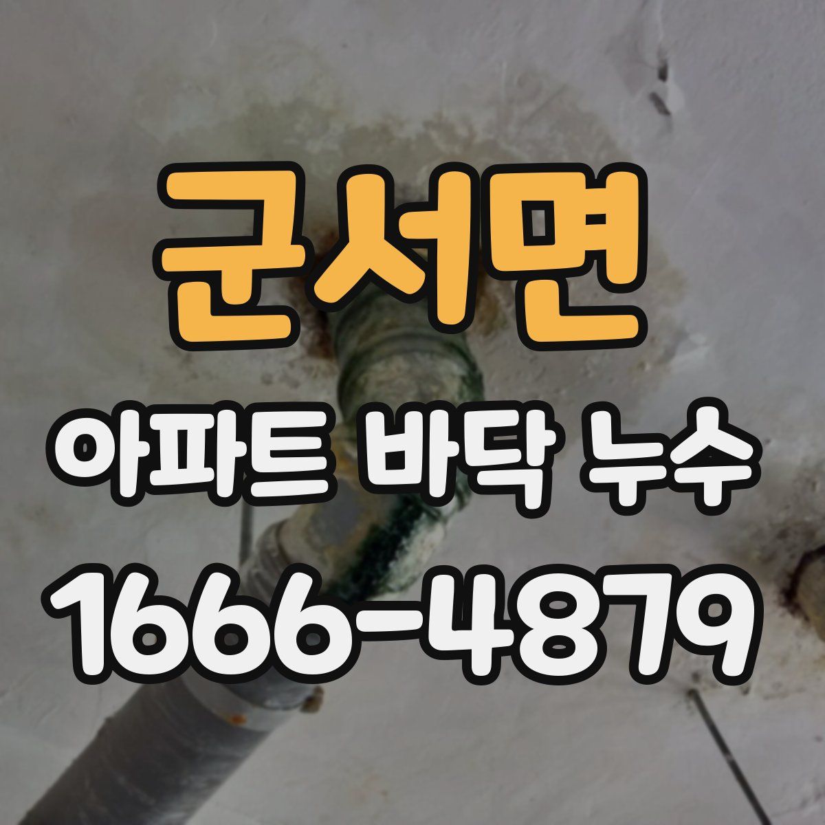 군서면 아파트 바닥 누수
