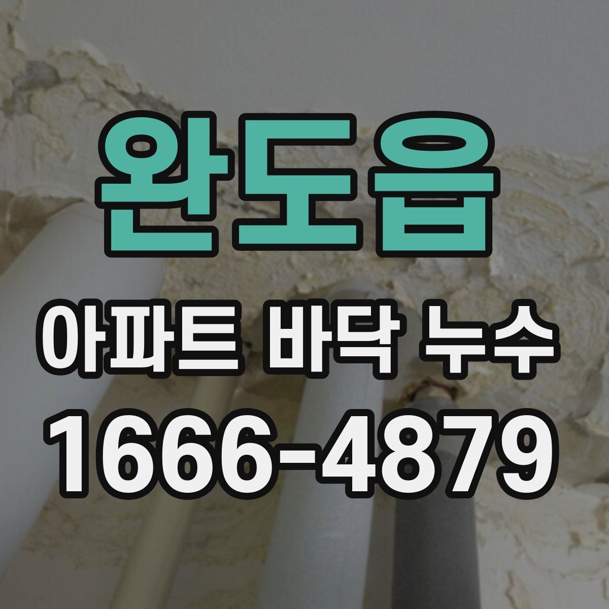 완도읍 아파트 바닥 누수