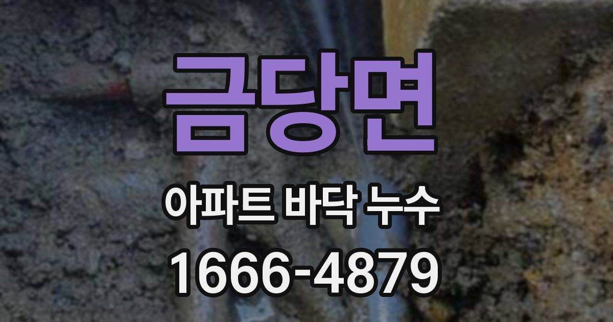 금당면 아파트 바닥 누수