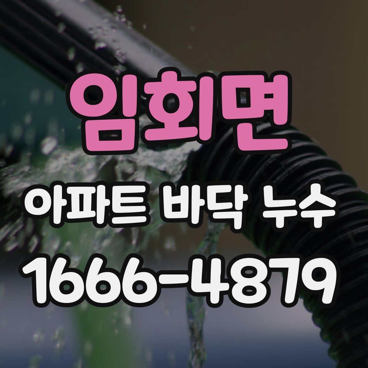 임회면 아파트 바닥 누수