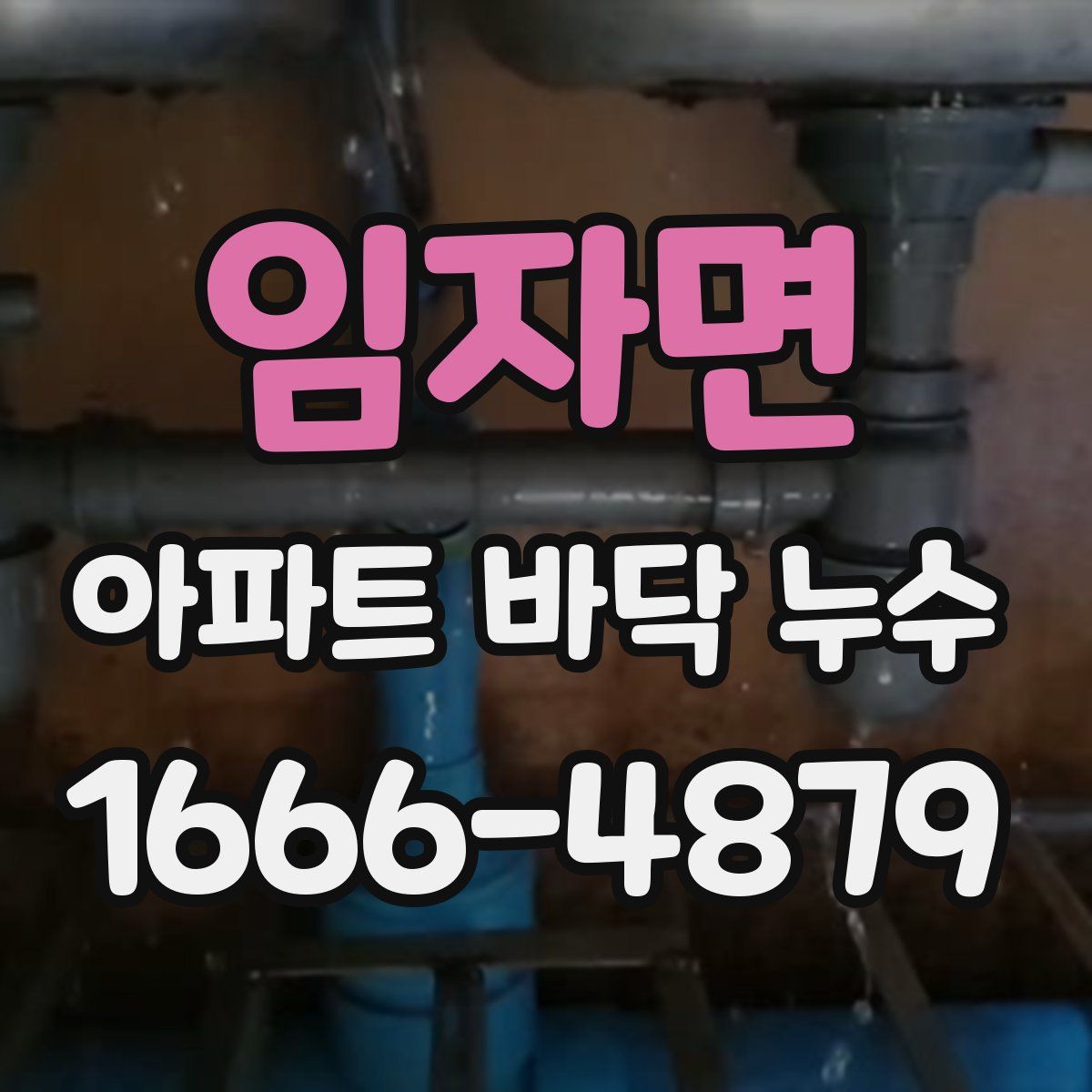 임자면 아파트 바닥 누수