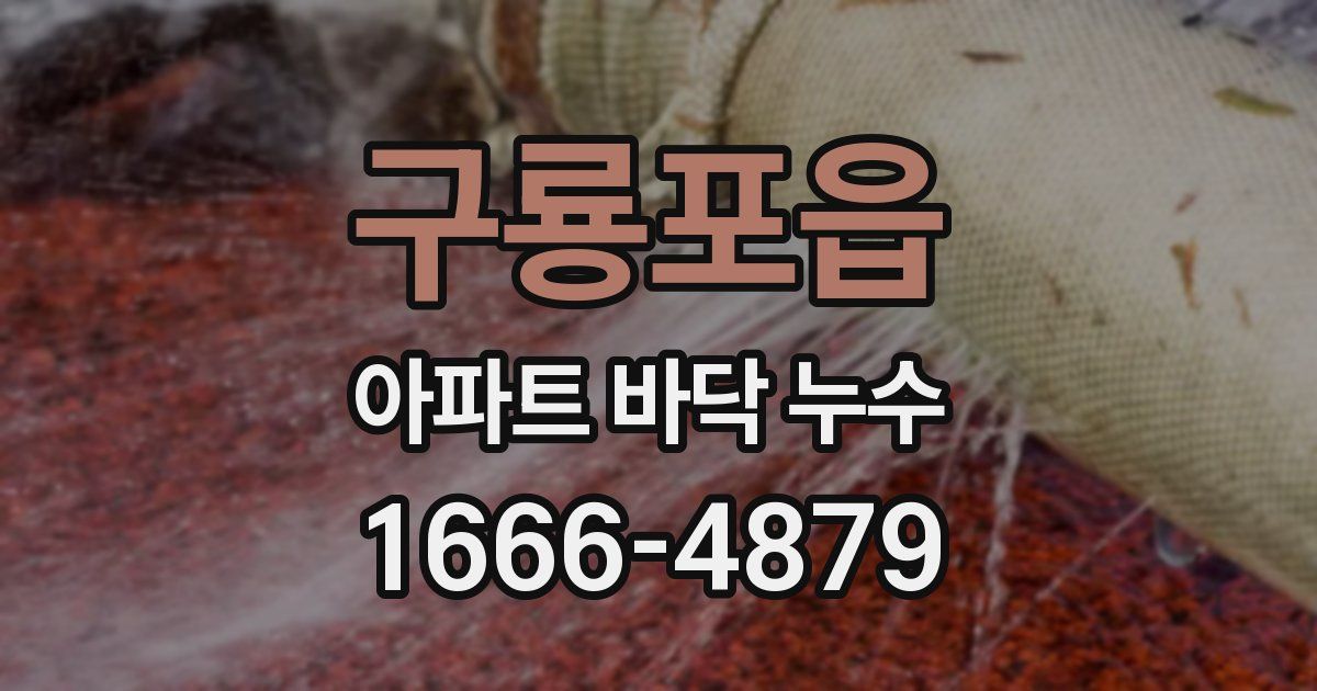 구룡포읍 아파트 바닥 누수