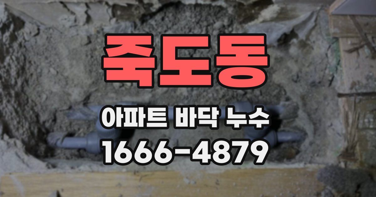죽도동 아파트 바닥 누수