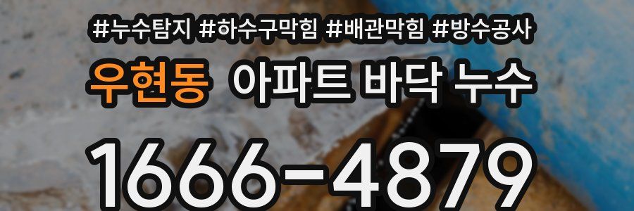 우현동 아파트 바닥 누수
