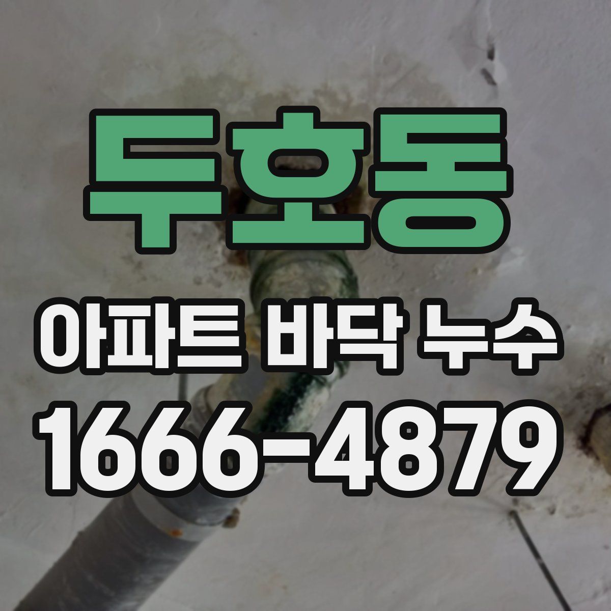 두호동 아파트 바닥 누수