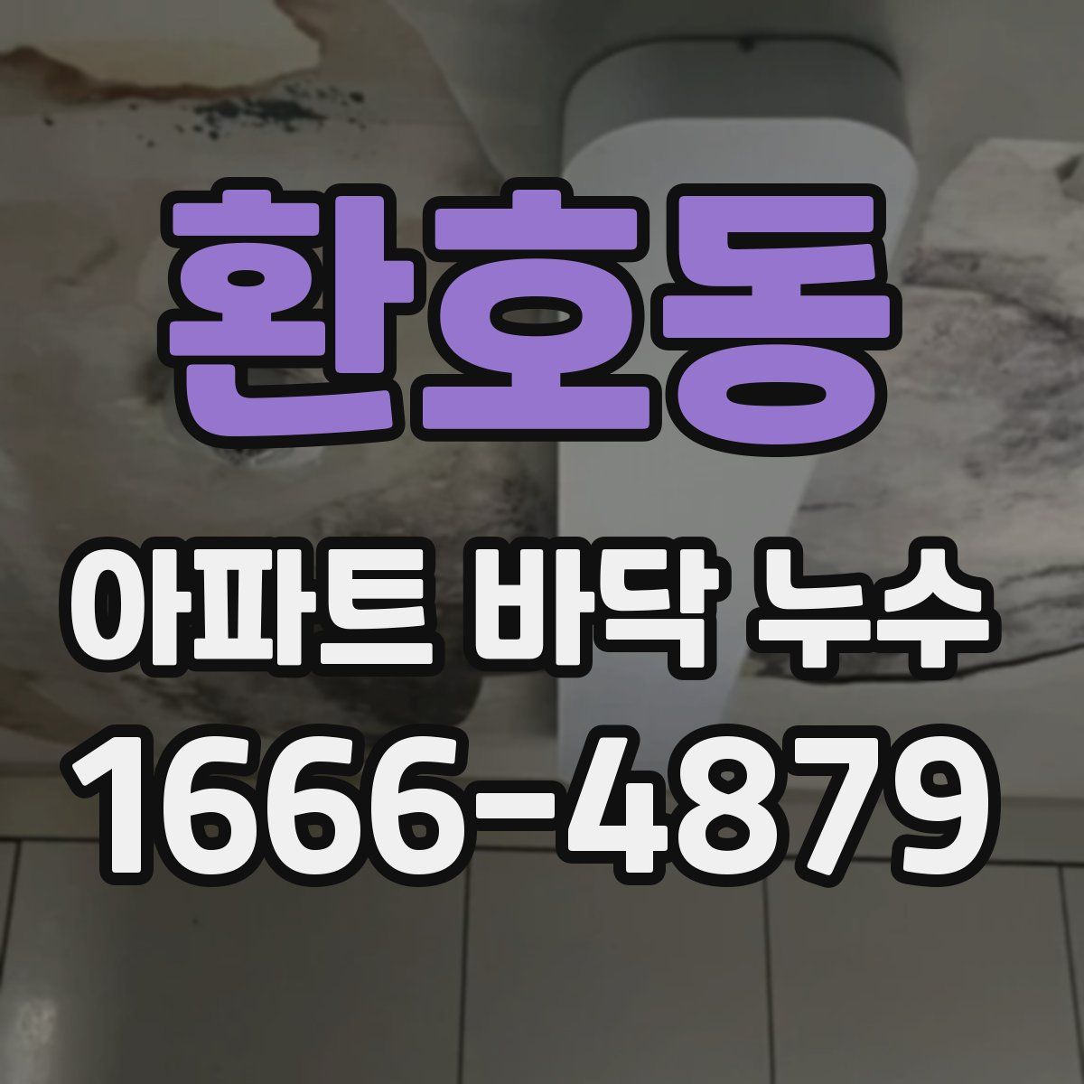 환호동 아파트 바닥 누수