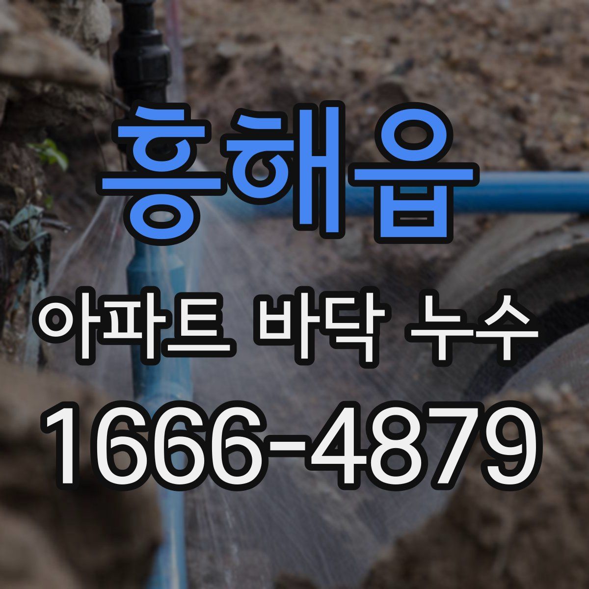 흥해읍 아파트 바닥 누수