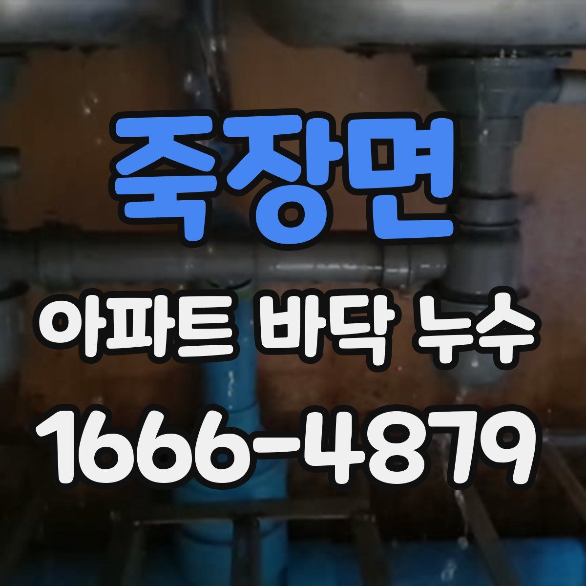 죽장면 아파트 바닥 누수