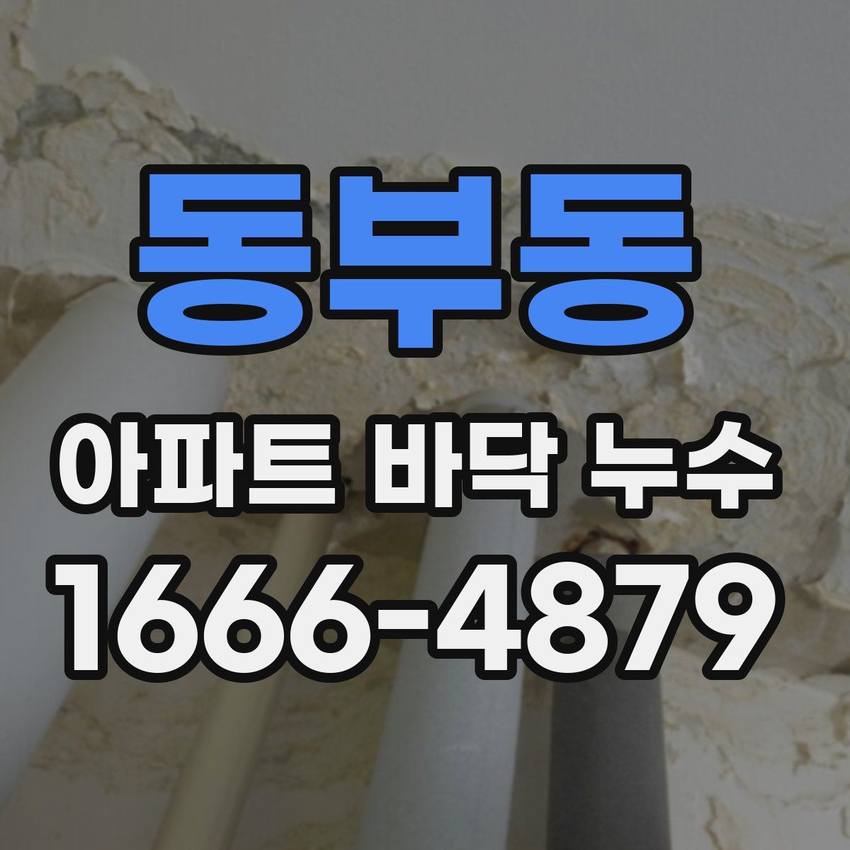 동부동 아파트 바닥 누수