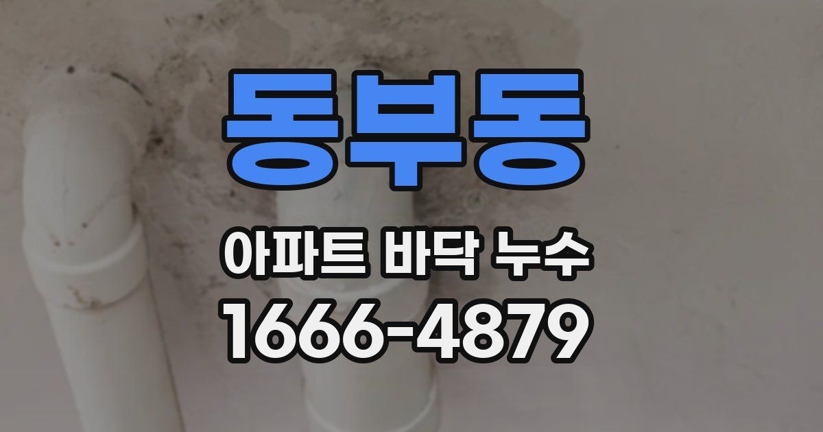 동부동 아파트 바닥 누수