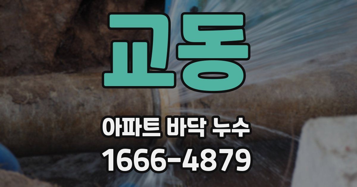 교동 아파트 바닥 누수