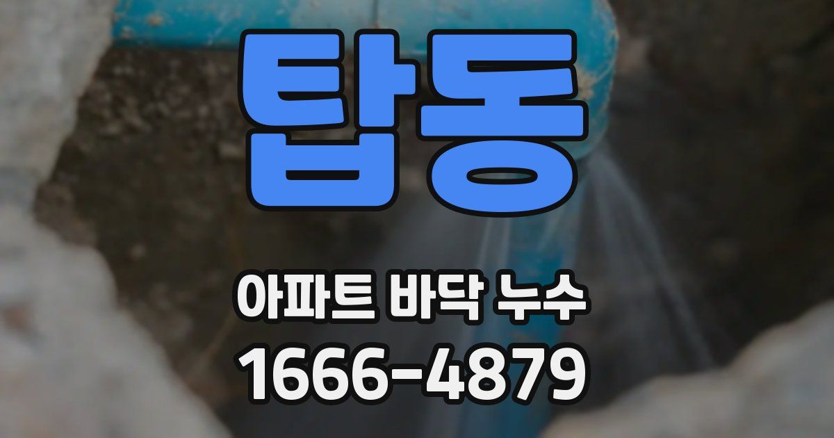 탑동 아파트 바닥 누수
