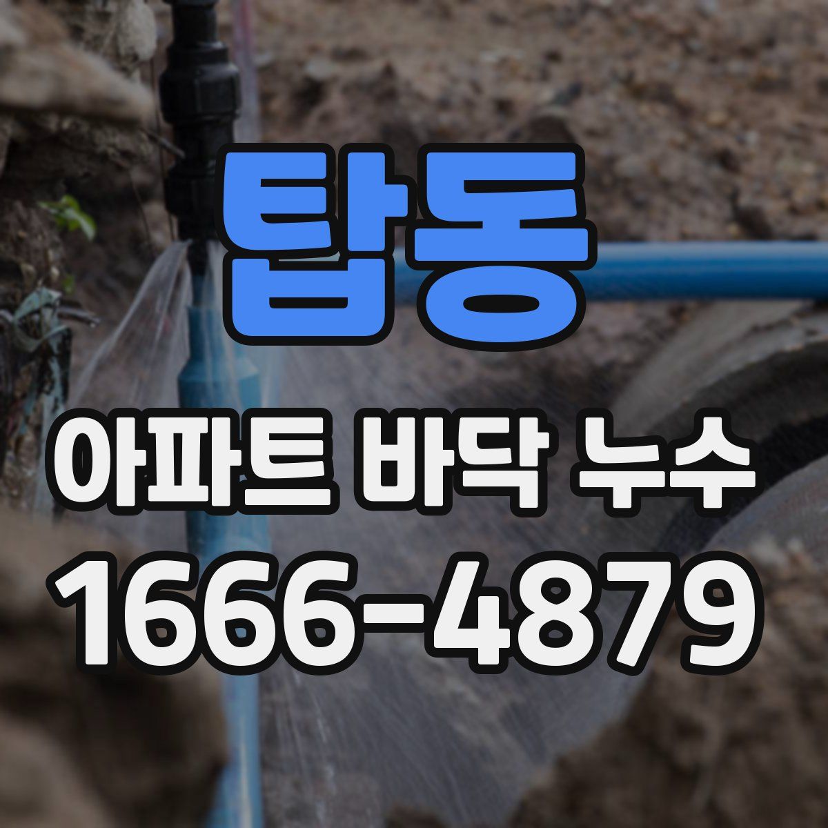 탑동 아파트 바닥 누수
