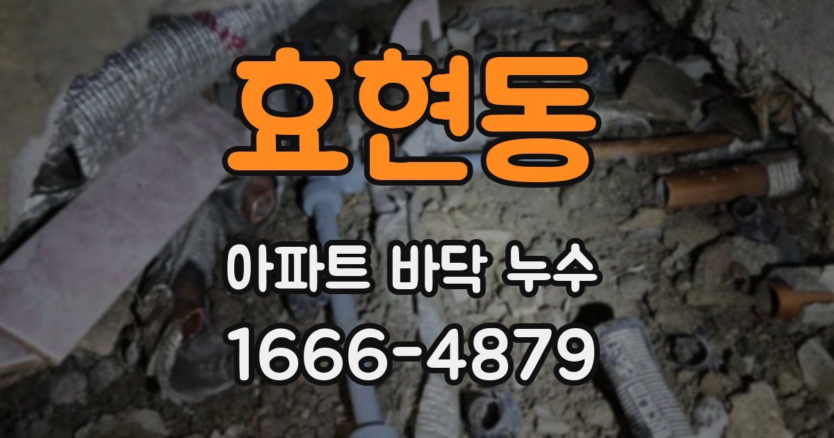 효현동 아파트 바닥 누수