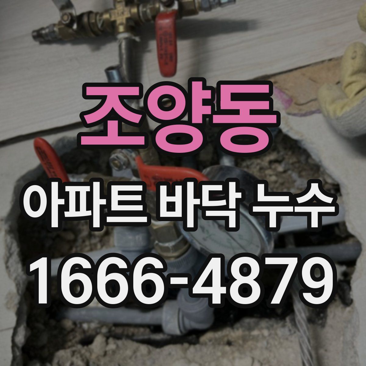 조양동 아파트 바닥 누수