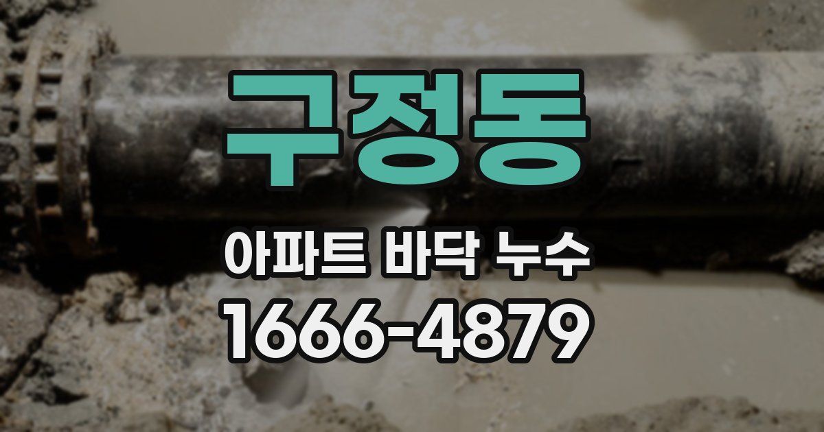 구정동 아파트 바닥 누수