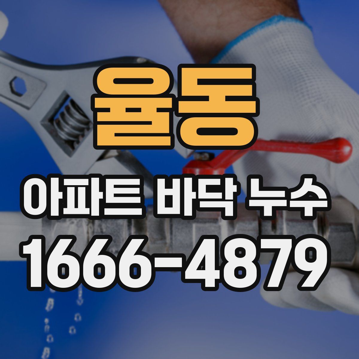 율동 아파트 바닥 누수