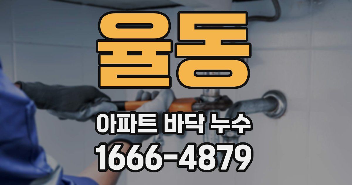 율동 아파트 바닥 누수
