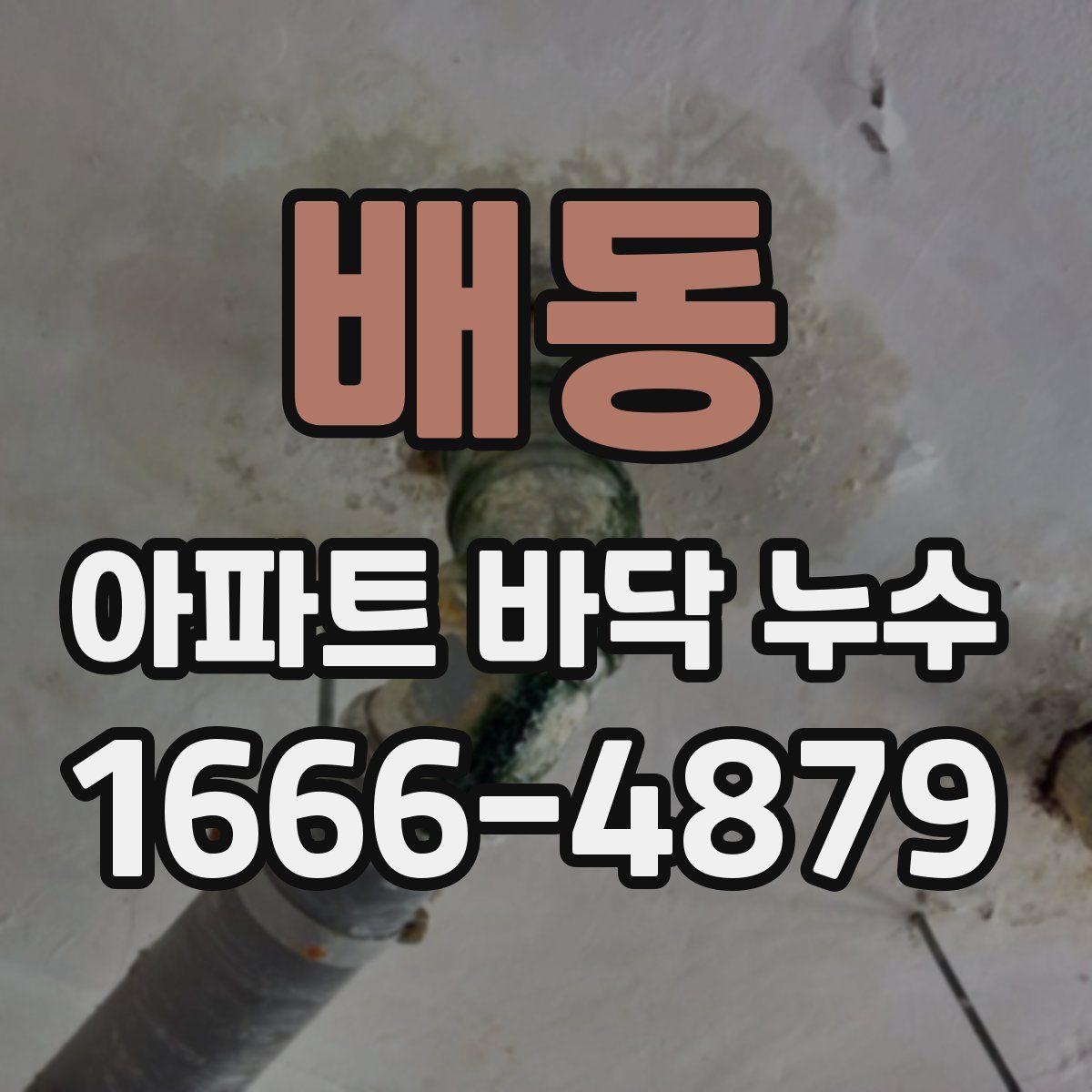 배동 아파트 바닥 누수