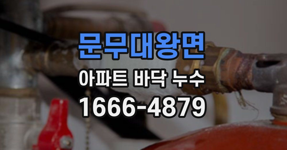 문무대왕면 아파트 바닥 누수
