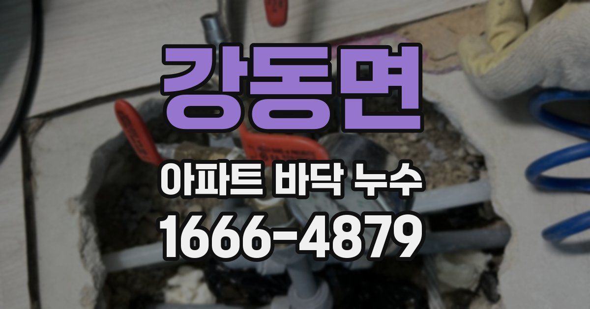 강동면 아파트 바닥 누수