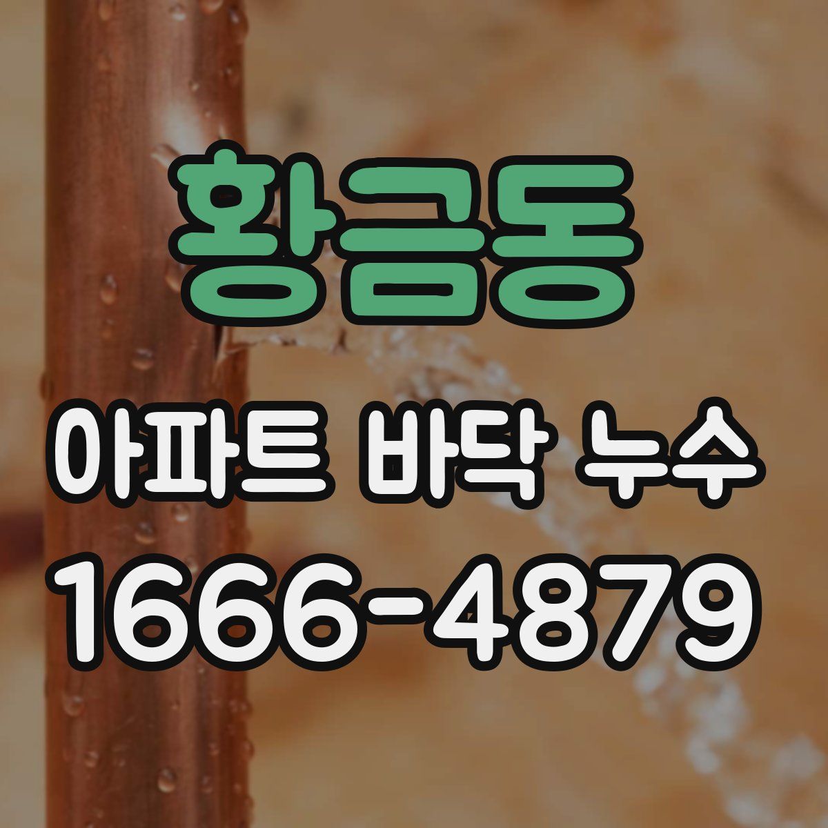 황금동 아파트 바닥 누수