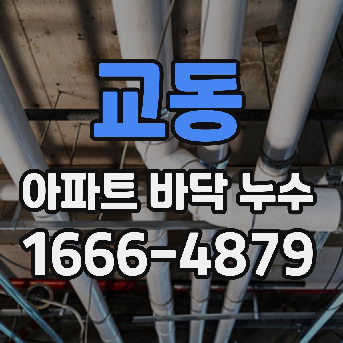 교동 아파트 바닥 누수