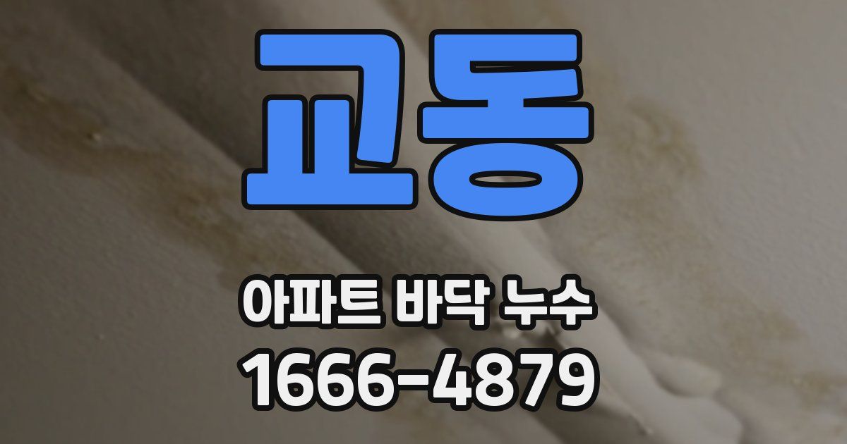 교동 아파트 바닥 누수